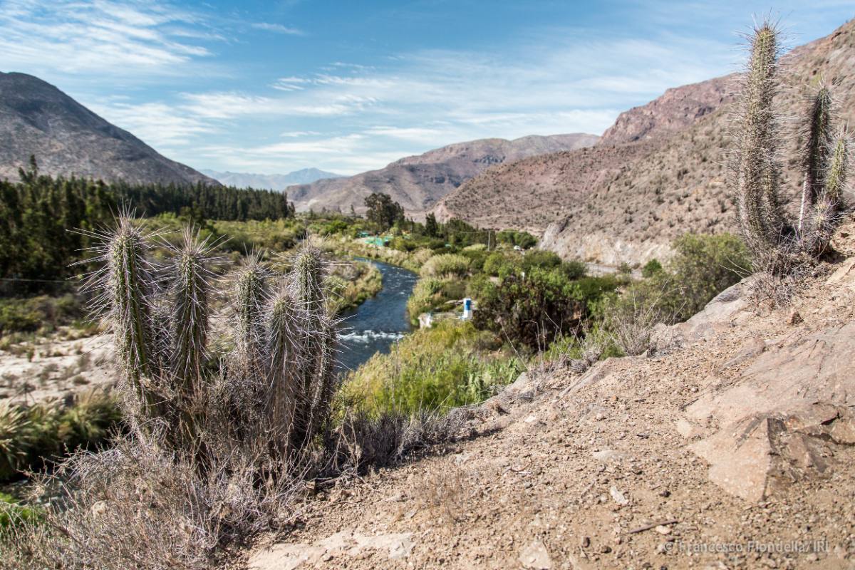 Valle_Elqui
