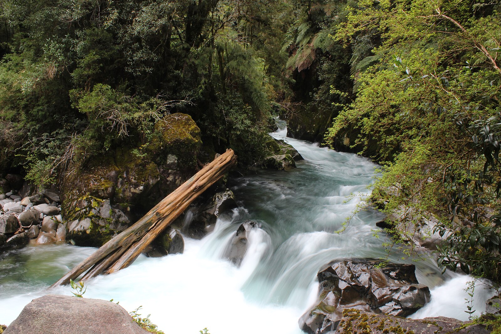 Parque_Nacional_Puyehue